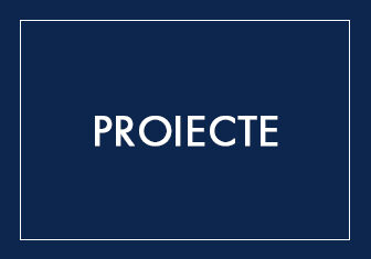 Proiecte